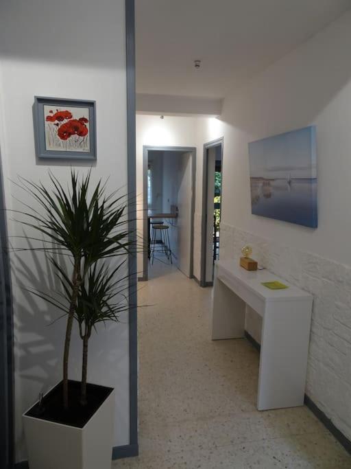 Grande Maison 3 Chambres - Jardin, Terrasse Et Parking - Bord De Mer Торрей Екстер'єр фото